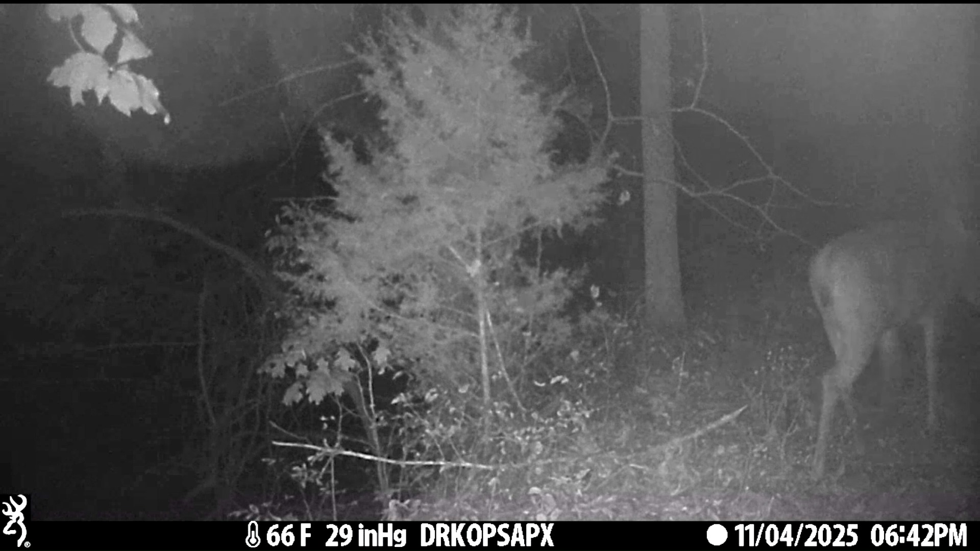 I love this Copperhead Ridge video from the beginning of last week. # ...