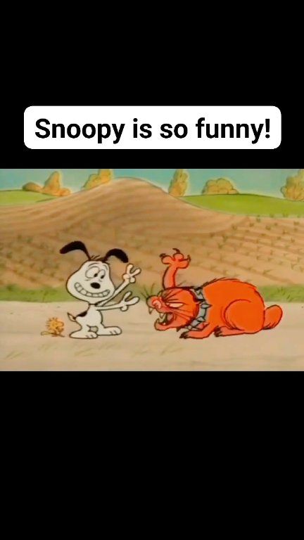 I needed a good laugh this morningand this Snoopy and Woodstock