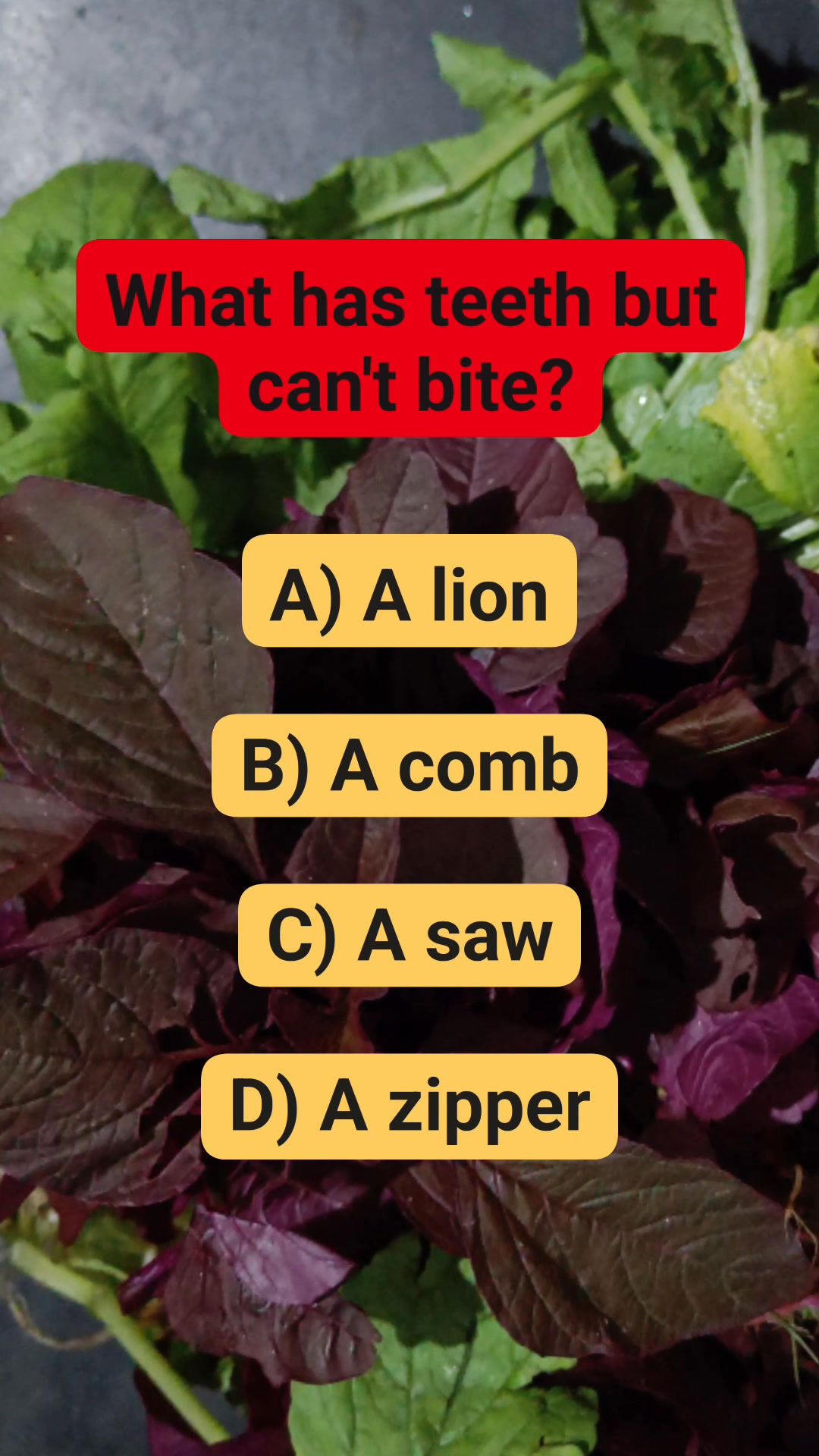 #riddle #brainteaser #puzzle | Must Watch Reels | Facebook