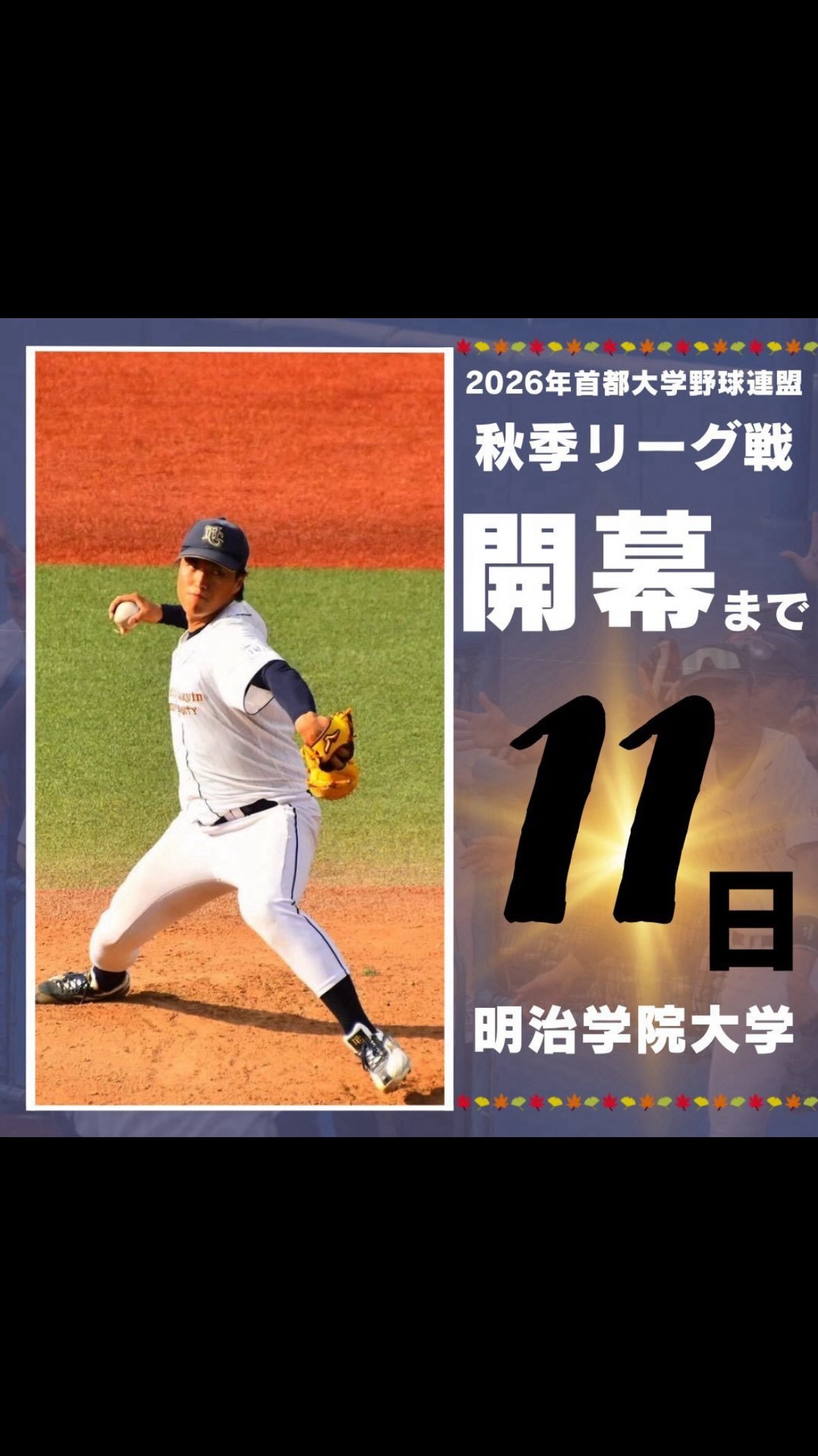 首都 大学 野球