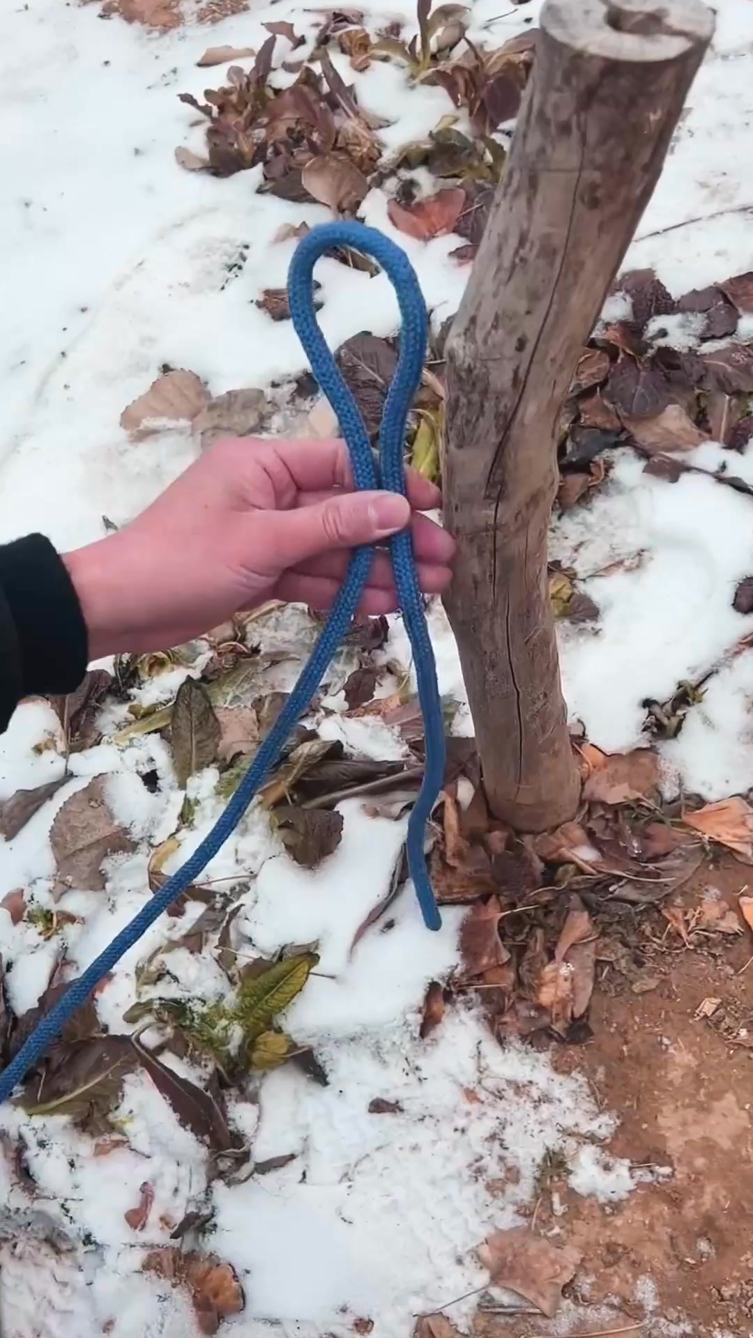 Knot rope tip diy at home ep842 🪢🇺🇸 #knots #diy #reels #trending #craft ...