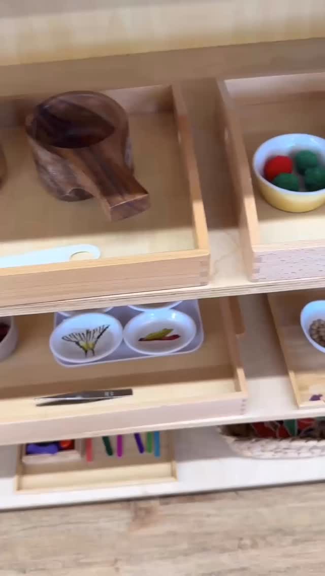Spring has sprung at Montessori Academy!☀️Step inside one of our ...