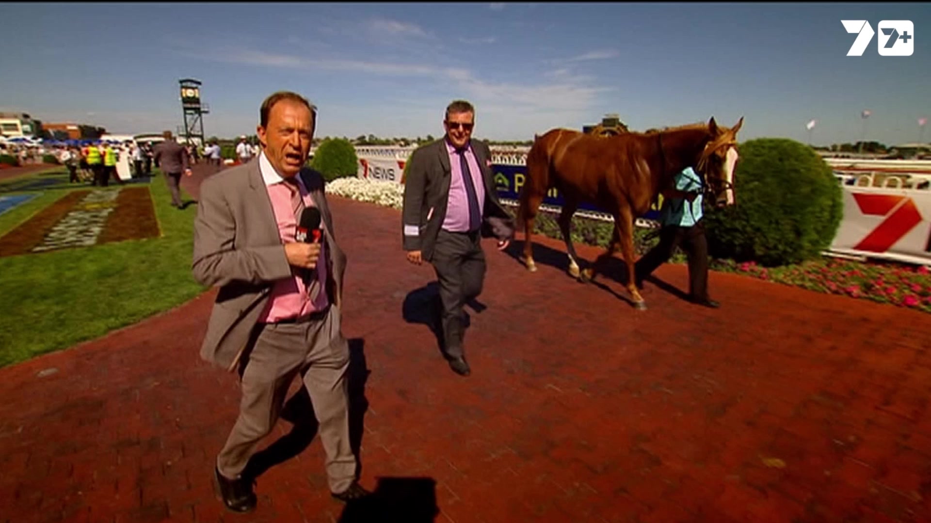 7HorseRacing - A racing miracle 🥹 Sit back and relive... | Facebook