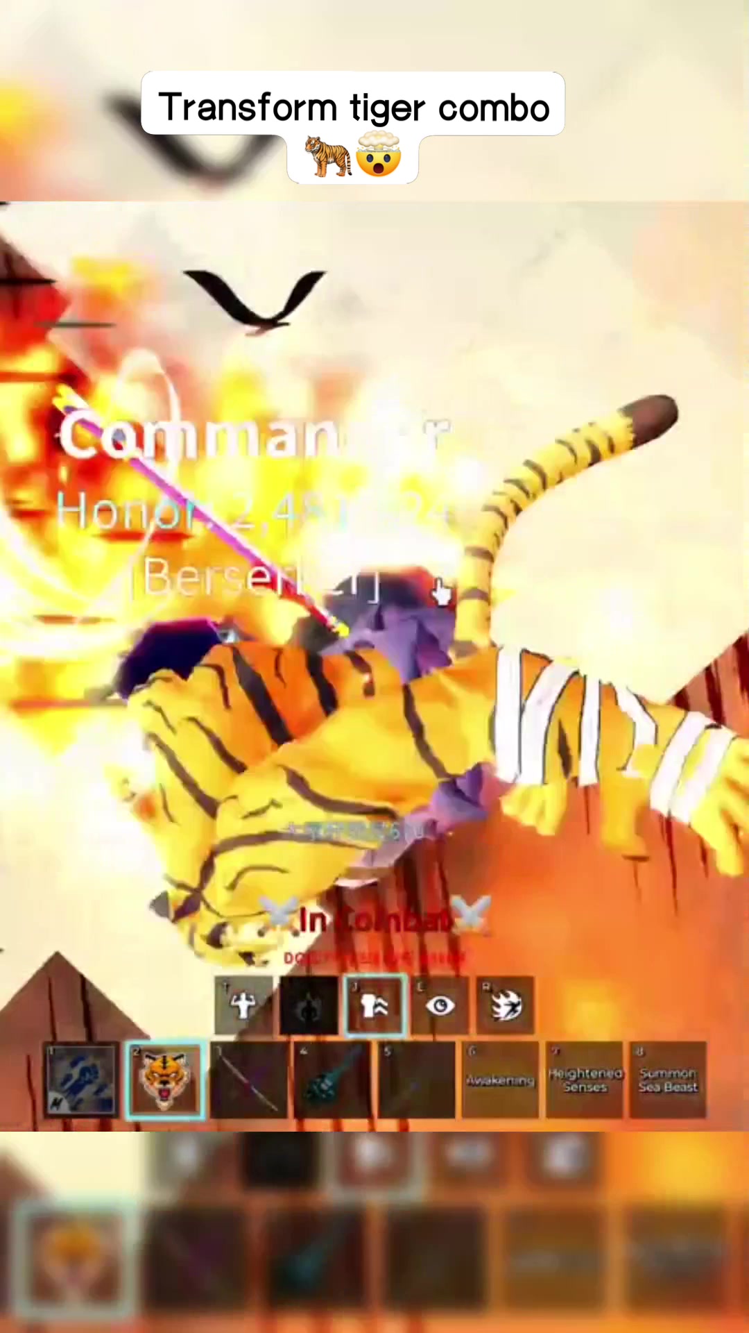 Tiger transform combo🤯 #bloxfruits #bloxfruitsupdate #bloxfruitsroblox ...