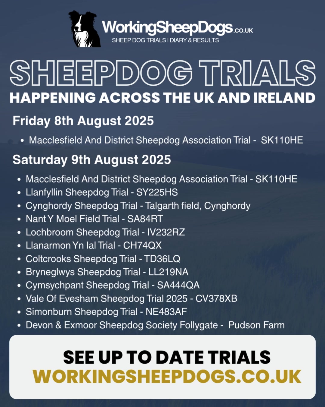 Sheepdog Trials | Facebook