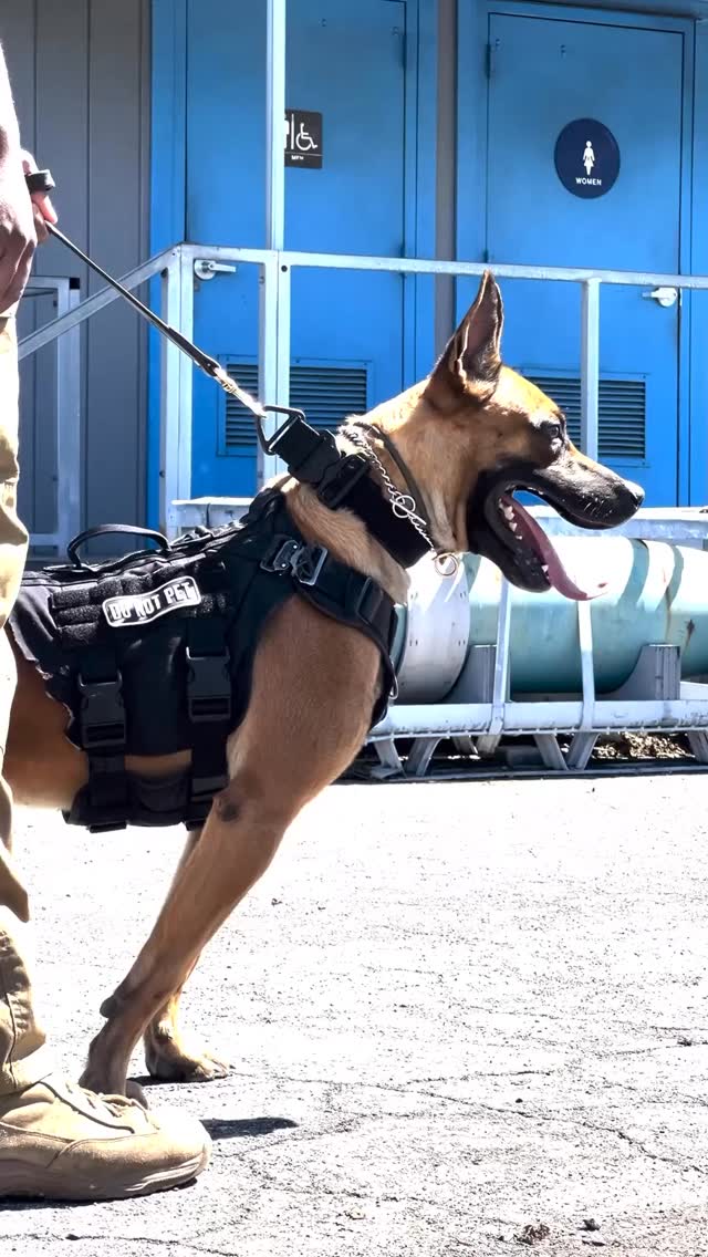 K9 Veterans Day is back on Battleship IOWA! Join us to celebrate these ...