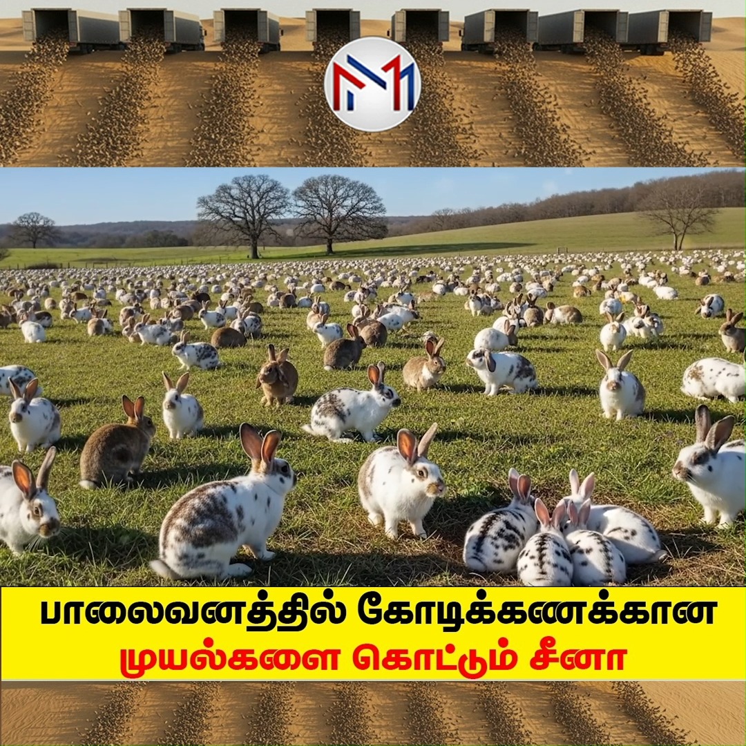 உலகை மிரள வைக்கும் சீனாவின் ரகசிய திட்டம் | Chinese Rabbit Experiment ...
