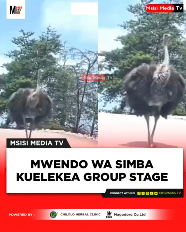 Daaah 😂😂😂 Follow ukurasa wetu kwa habari zaidi na matukio yanayo tokea ...