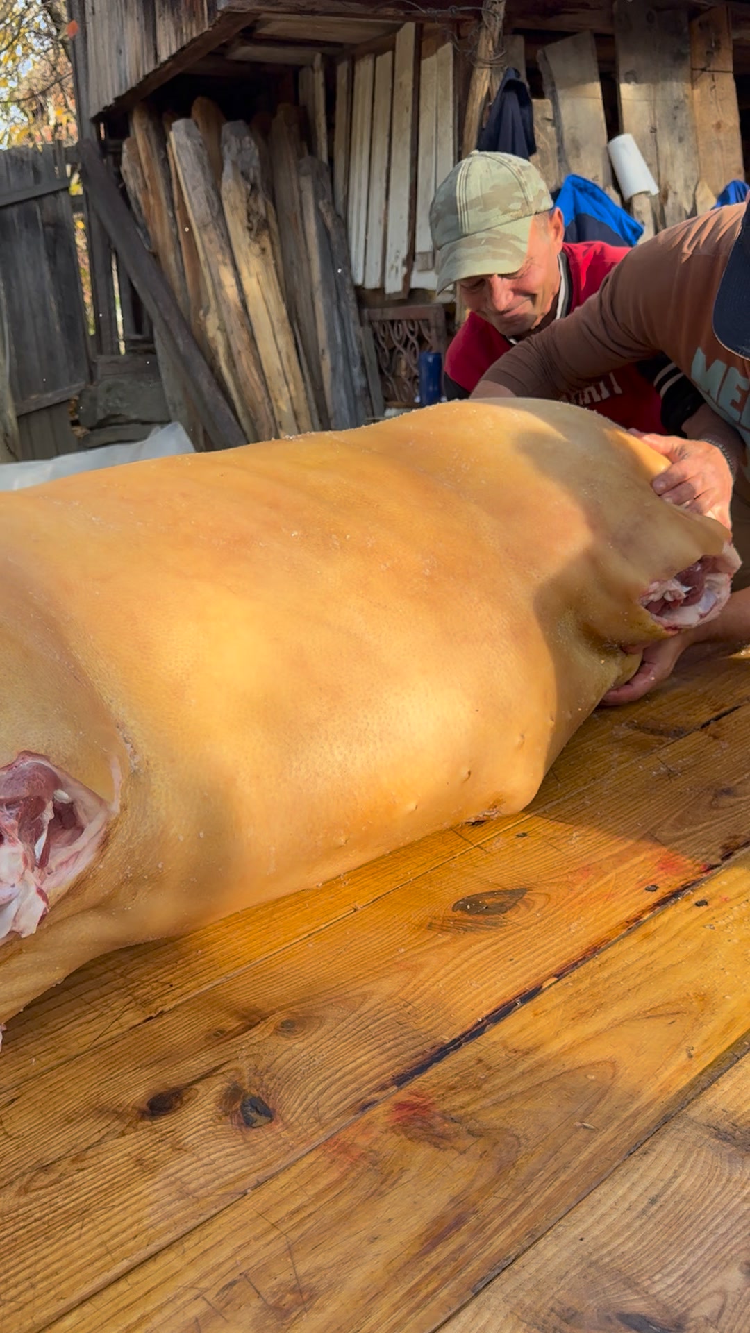 Client multumit! 389 kg pus pe cantar! | Fermierul Adrian | Facebook