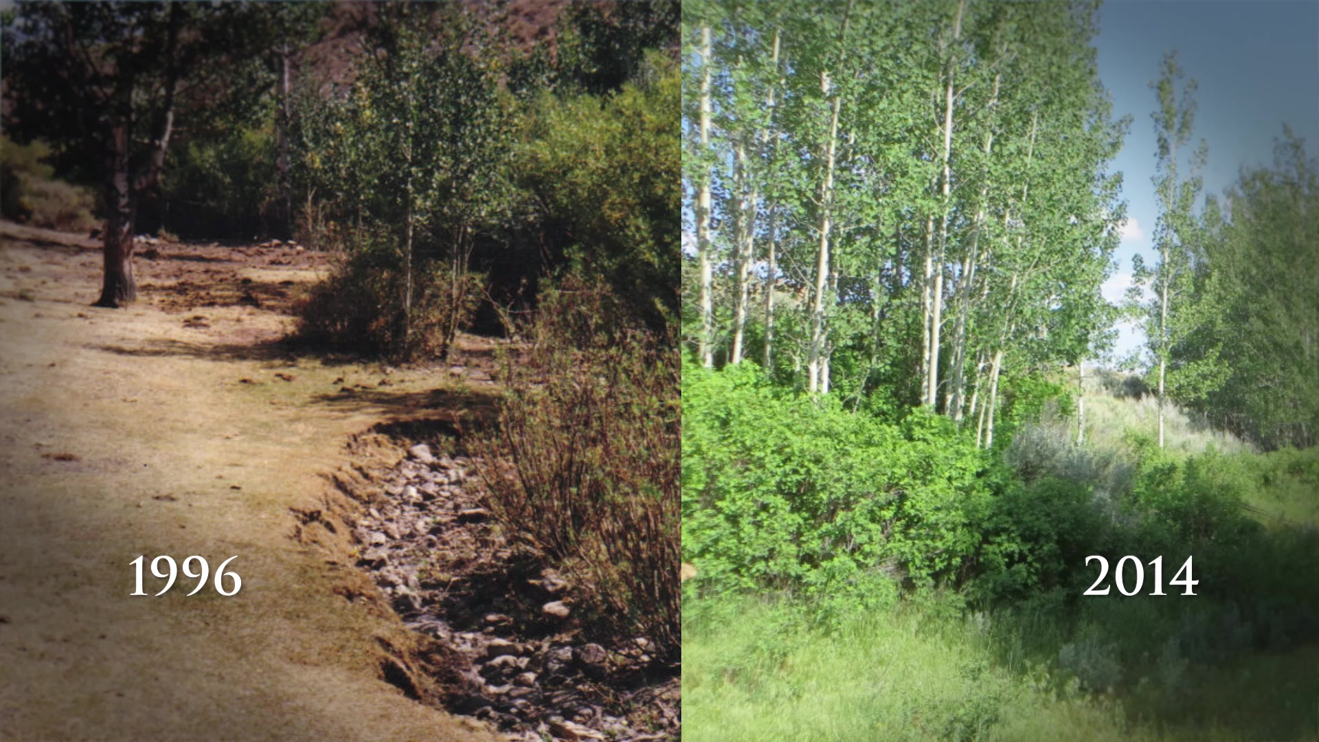 Example of a Bureau of Land Management approved project which proved ...