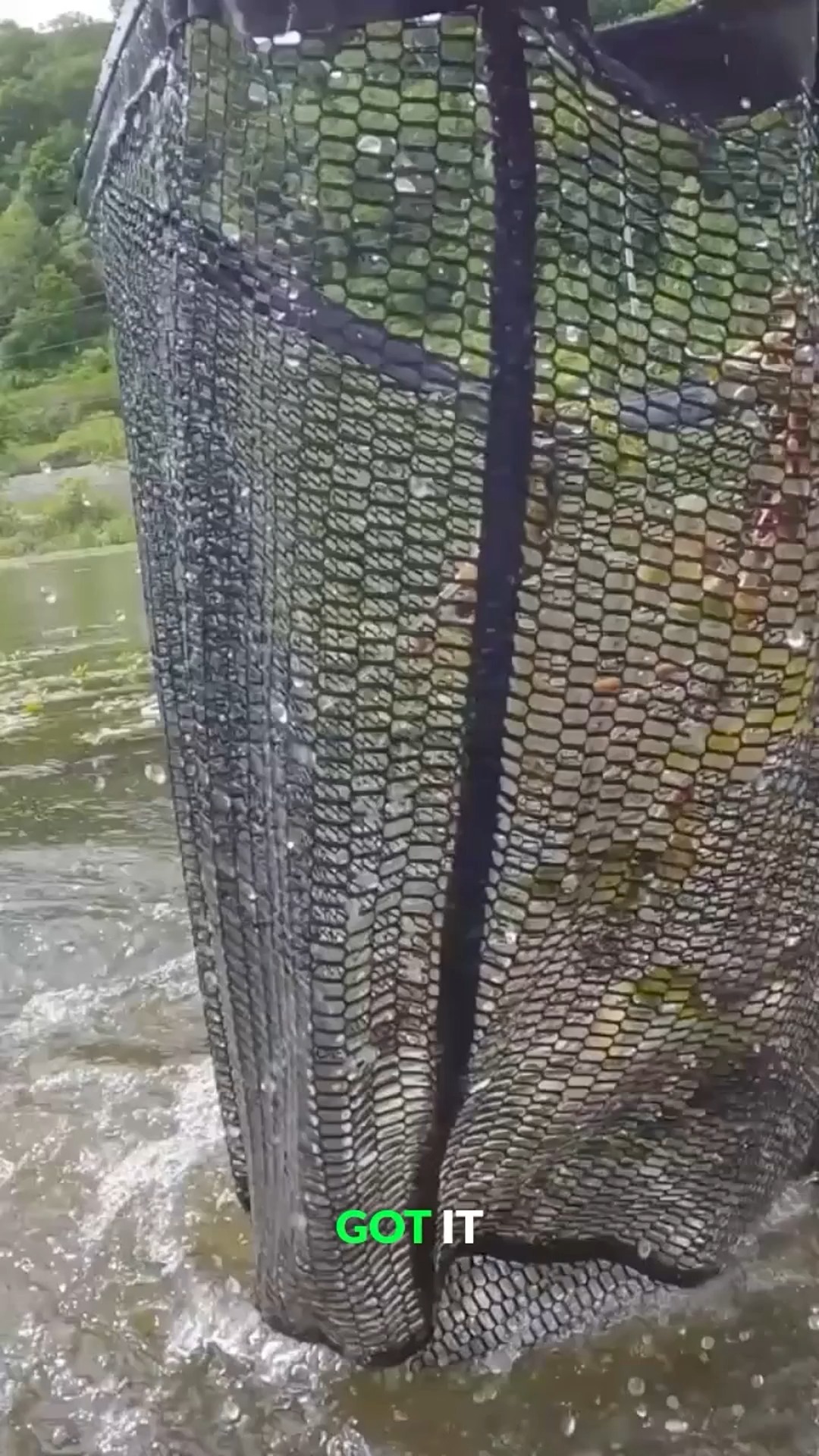 electric fishing net scifi Smart X motor This is the best gift