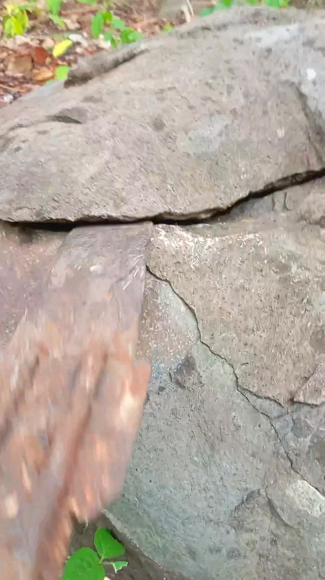 Treasure hunt slowly remove first layer coated rock markings | Jm D ...
