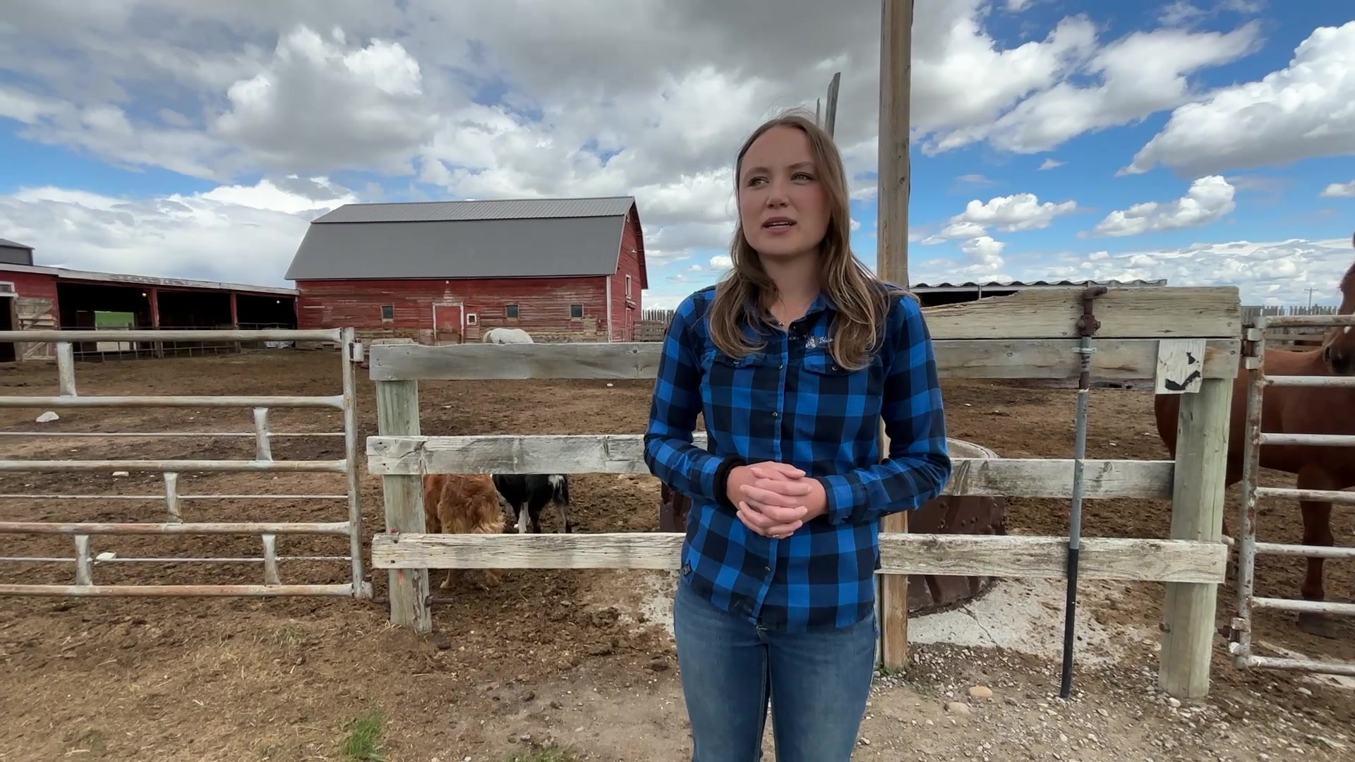 Blue Rein Ranch Counselling & Animal Assisted Therapy | Fort Macleod AB