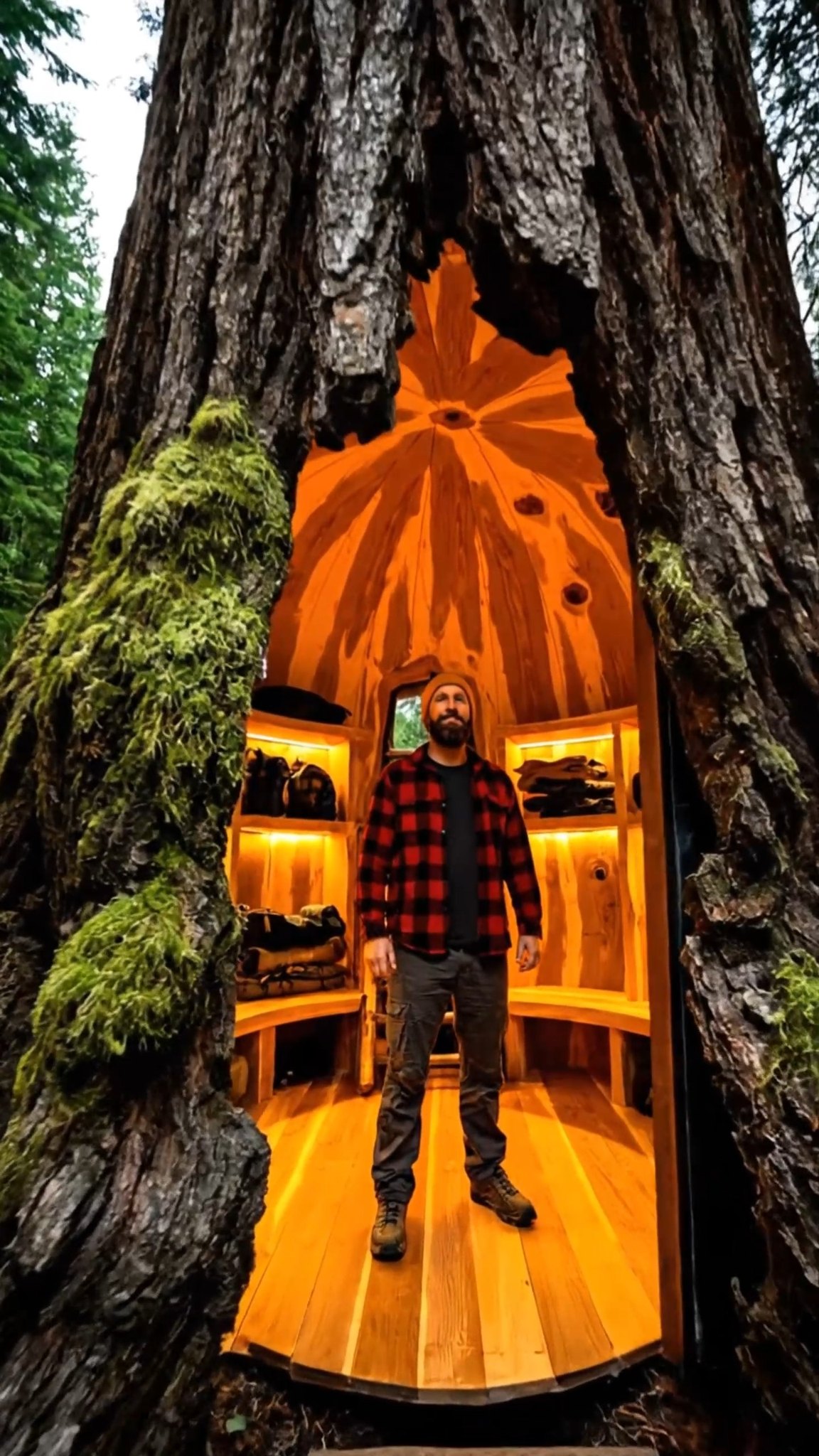 Hidden Tree Shelter | Secret Forest Hideout #hiddenshelter #treehideout ...