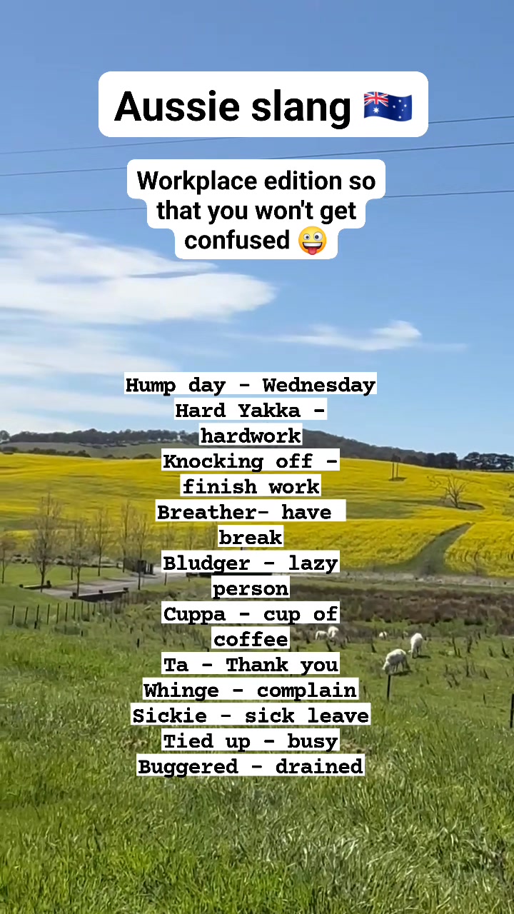 #slang #aussie #australia #sydney #funny #highlights #highlighteveryone ...