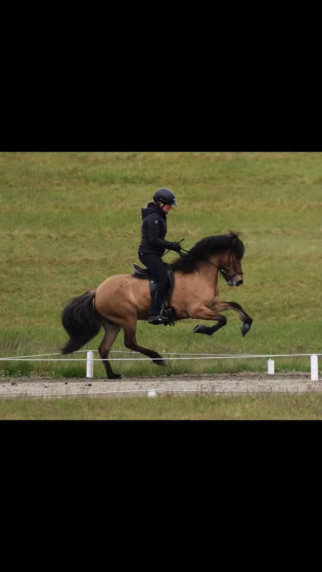 Akurgerði