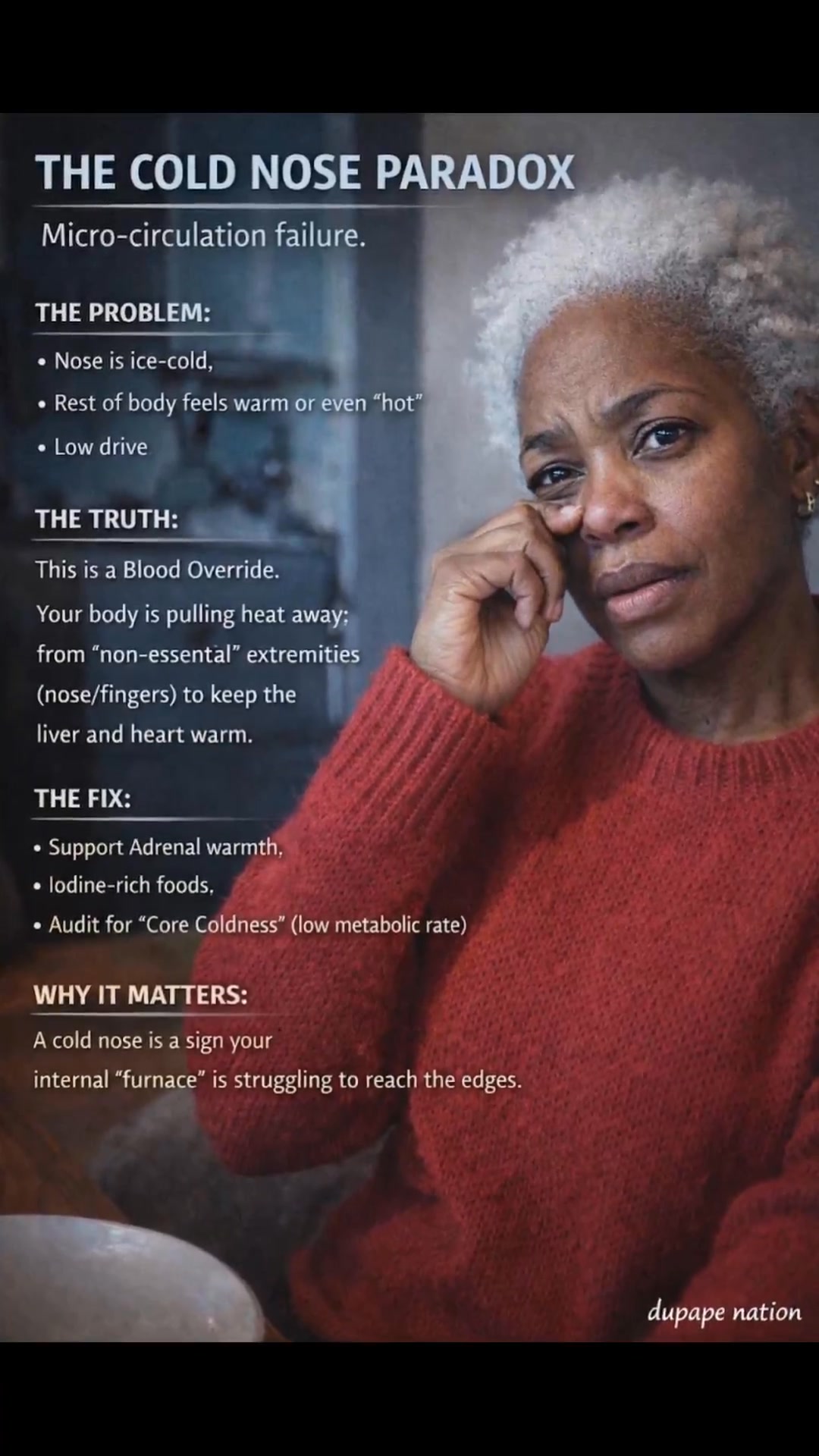 A cold nose isn’t random. It’s a circulation decision your body is ...