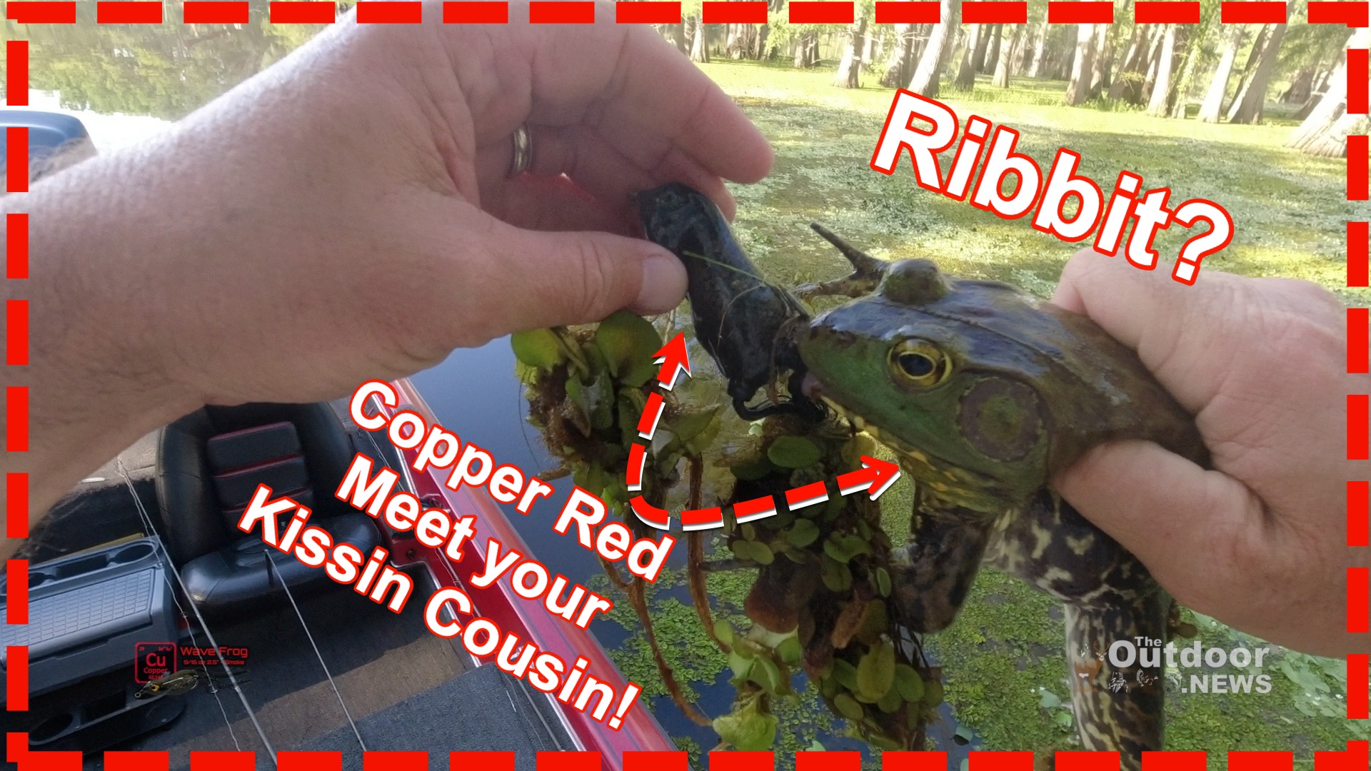 catching bullfrogs with fishing pole Smarkey Harpoon Spear Gig Gaff Fork Hook for Frog Cane Toad Bufo Flounder Fish Mole Remove Trap : Sports & Outdoors catching bullfrogs with ultralight fly