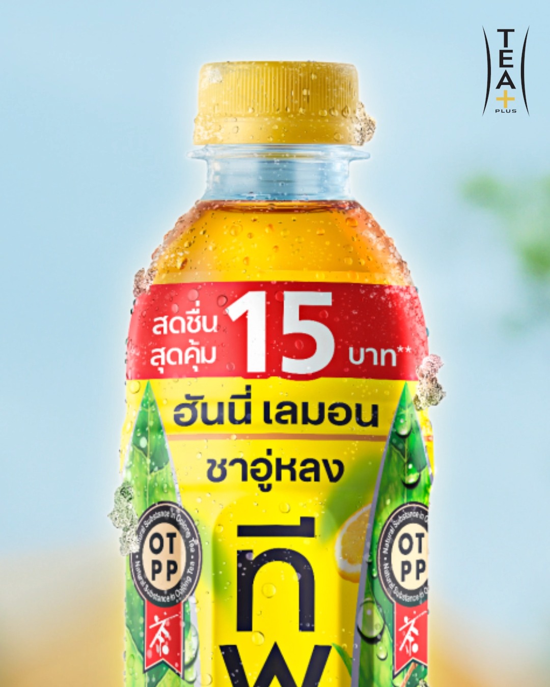 TEA+ Thailand
