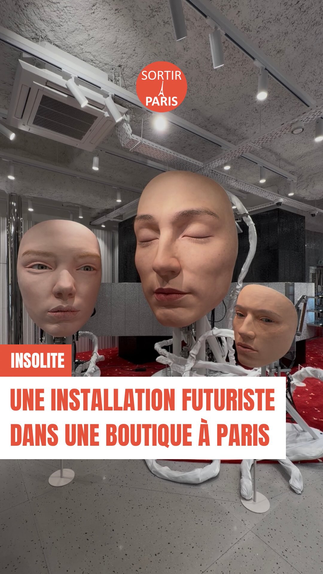 Dès l’entrée de cette boutique, le regard est instantanément capté par ...