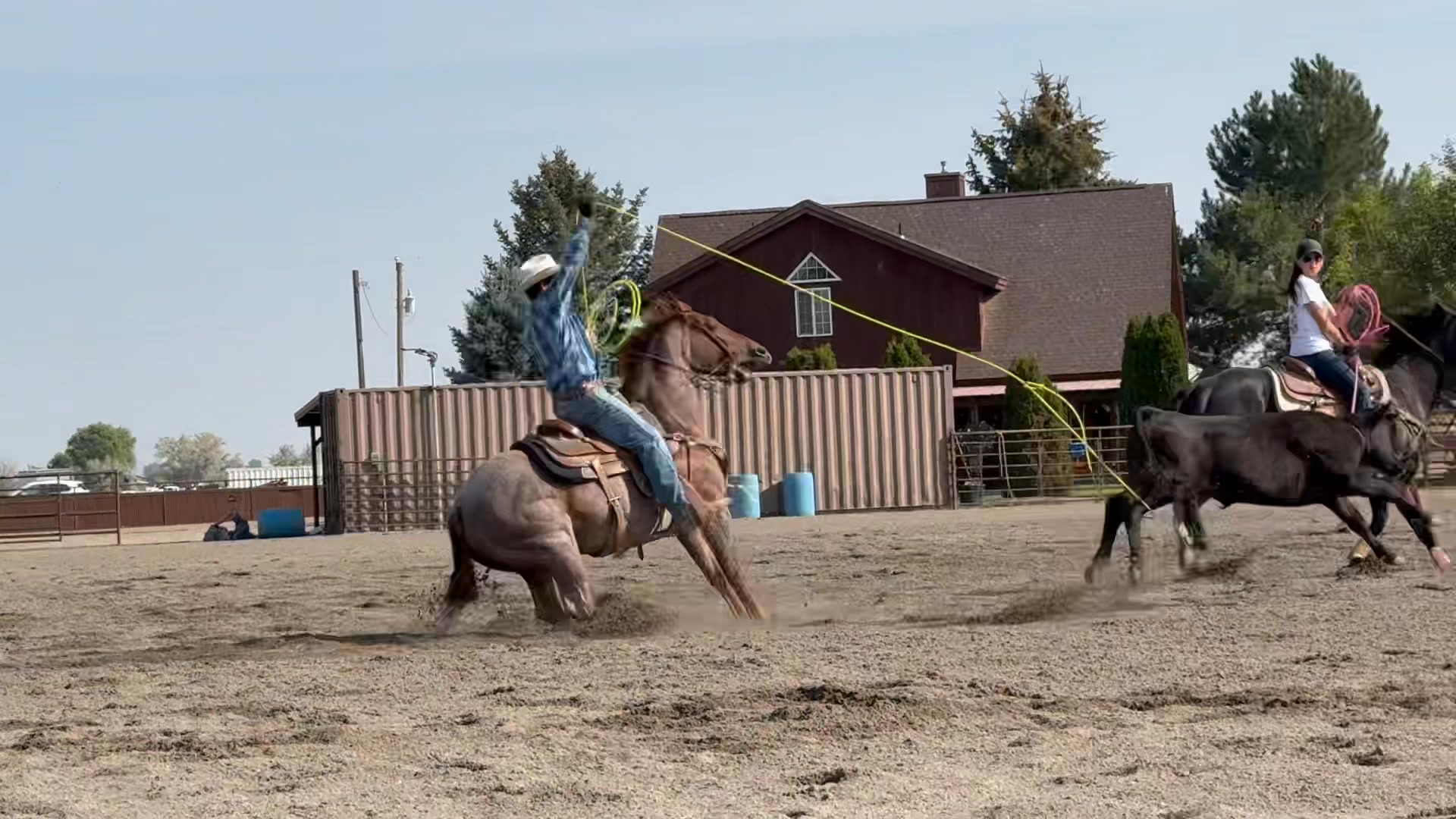 S/B Rope Horses - S/B Rope Horses added a new photo.