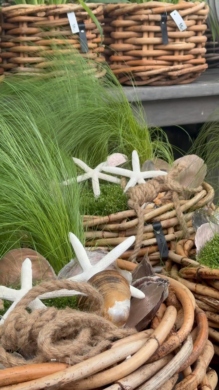 Perfekt für den Sommer 🌿, Die Körbe von @a2living sind perfekt für eine stilvolle dekorative Bepflanzung in deinem Garten., Wir haben eine XXL Auswahl für dich in unserem Shop., www.blumenhansen.de