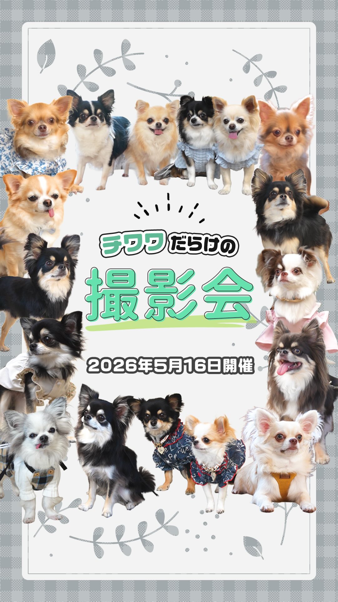 Shi-Ba【シーバ】+（プラス） (@ShiBa2929) • Facebook
