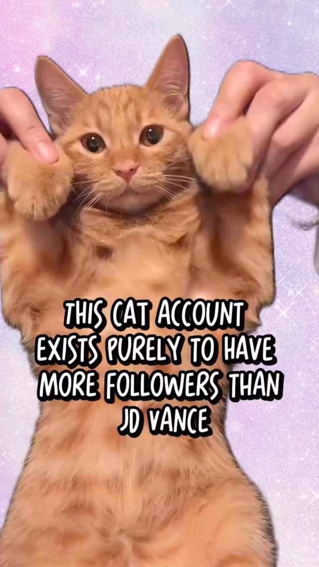 PROGRESS REPORT😹⬇️: 💅@catsonacouch - 1,083,300 @ senatorvance - 285K ⏭️ ...