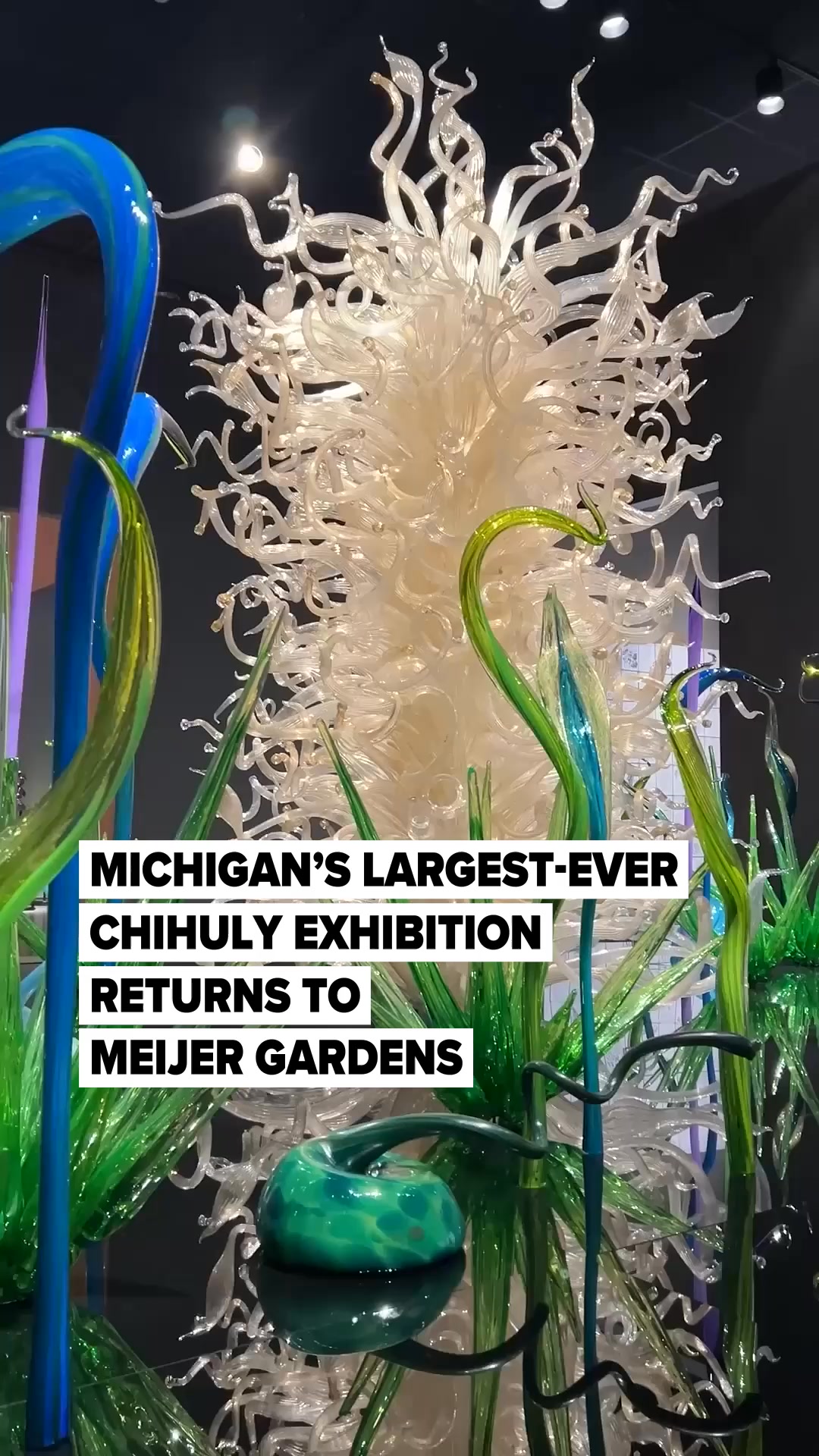 We're less than a month away from CHIHULY at Meijer Gardens