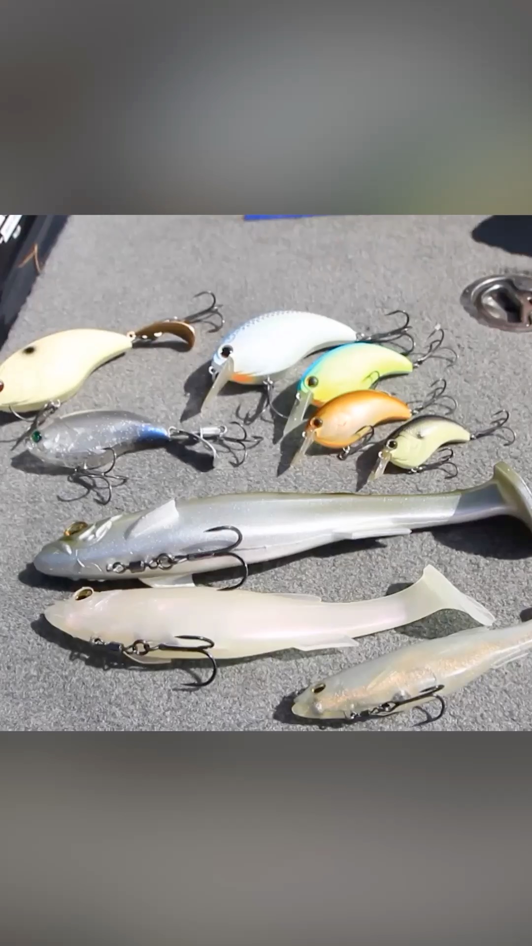 bass pro shops bassmaster professional series bass lures Schlapper Bushwhacker one assortment gives you seven of their deadliest and most popular soft The Best Bass Fishing Lures
