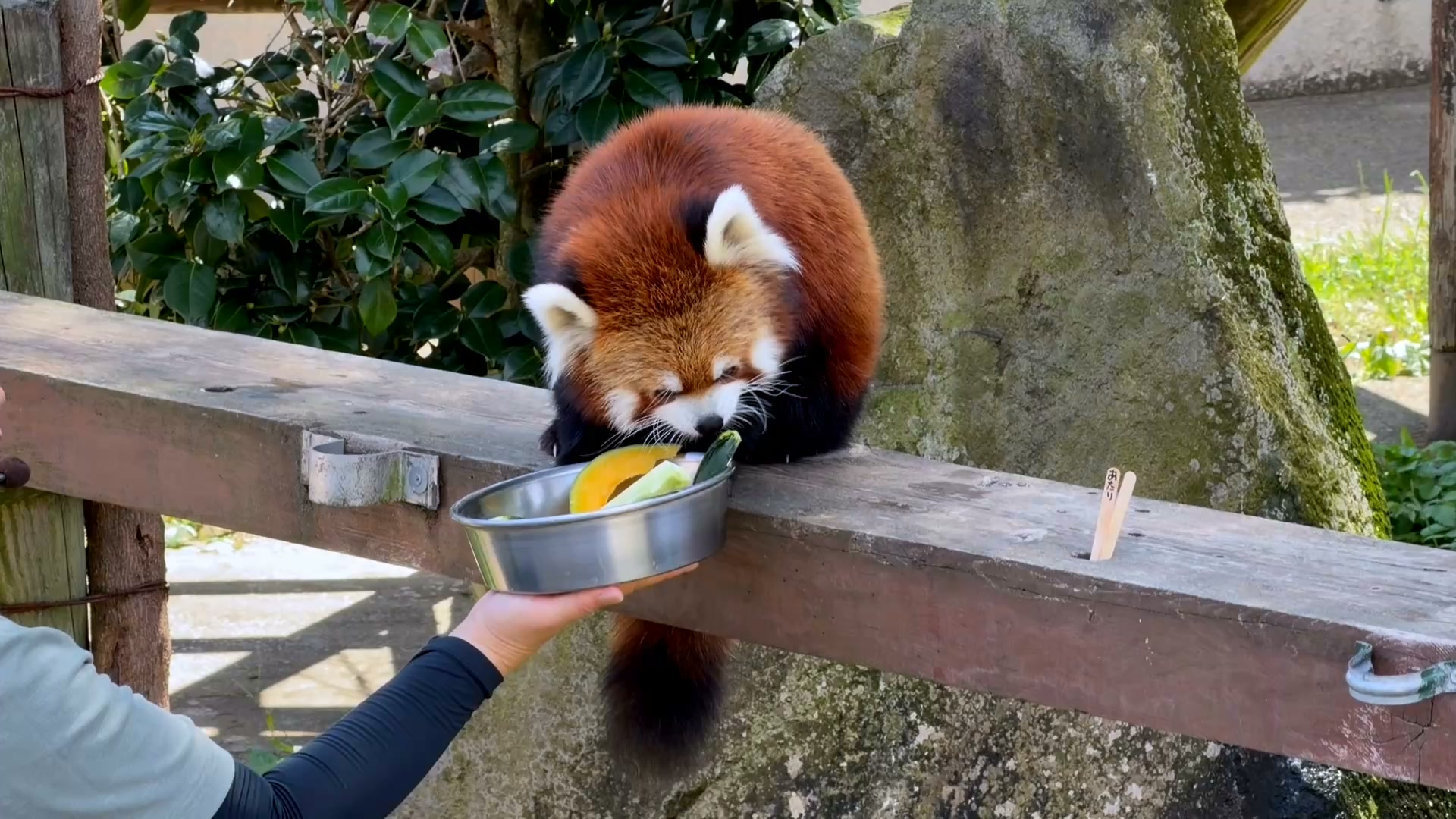 大 森山 動物園