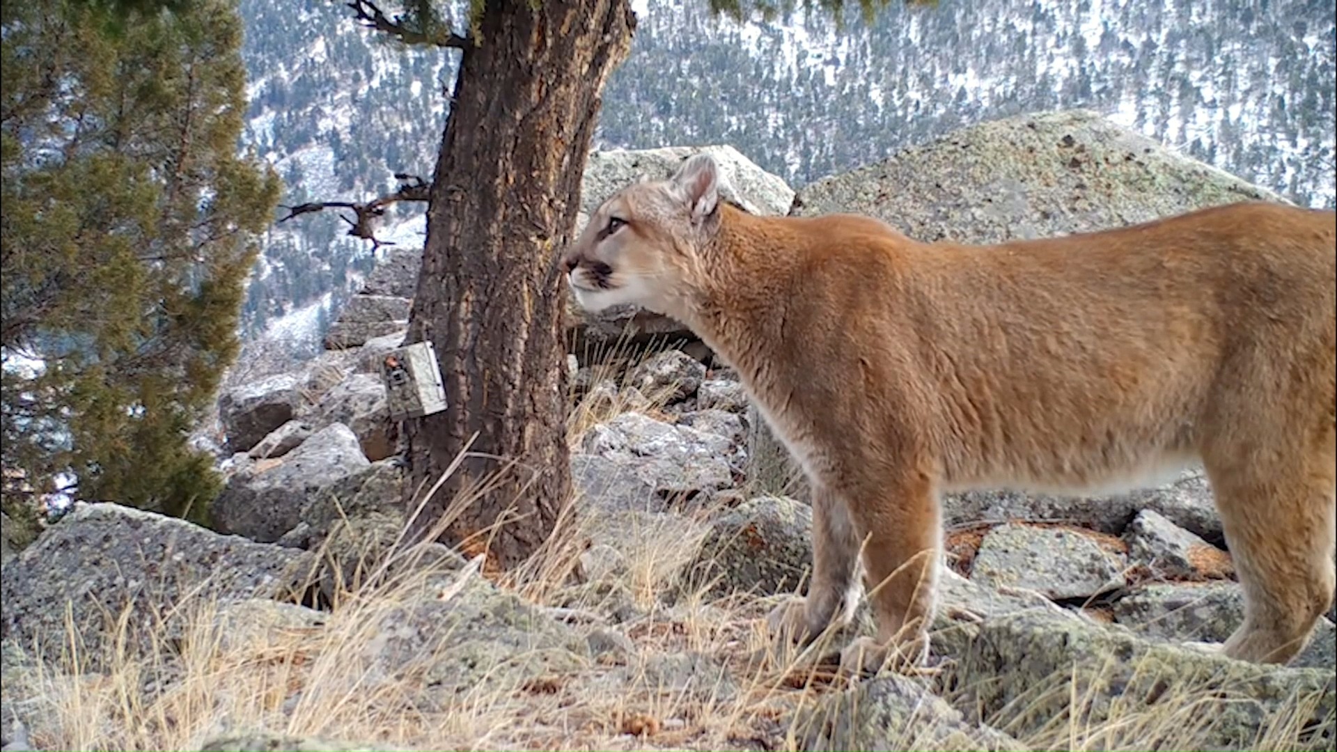 TONIGHT, Wednesday, October 15, join Wyoming PBS at 7 p.m. for the ...