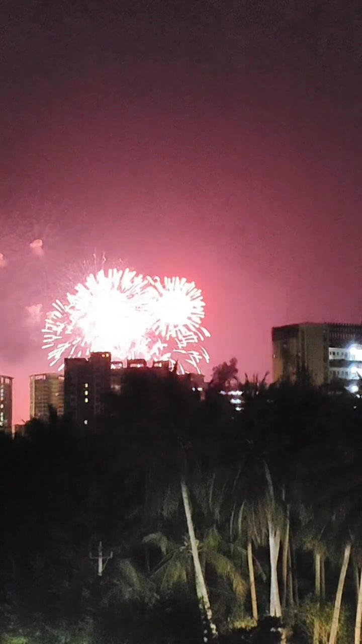 Fireworks fade quickly. 花火は冷えやすい烟花易冷！ | Aurora Reed