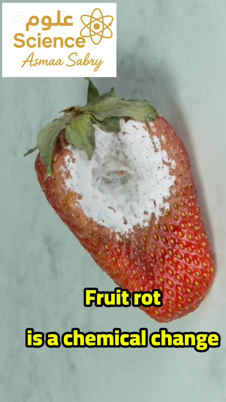 Have you ever seen fruit when it starts to rot? This is not just a ...