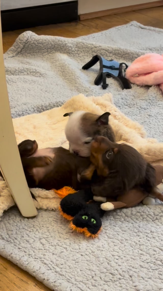 It’s a love fest over here🥰 | Cleft Rescue Unit (CRU) | Facebook