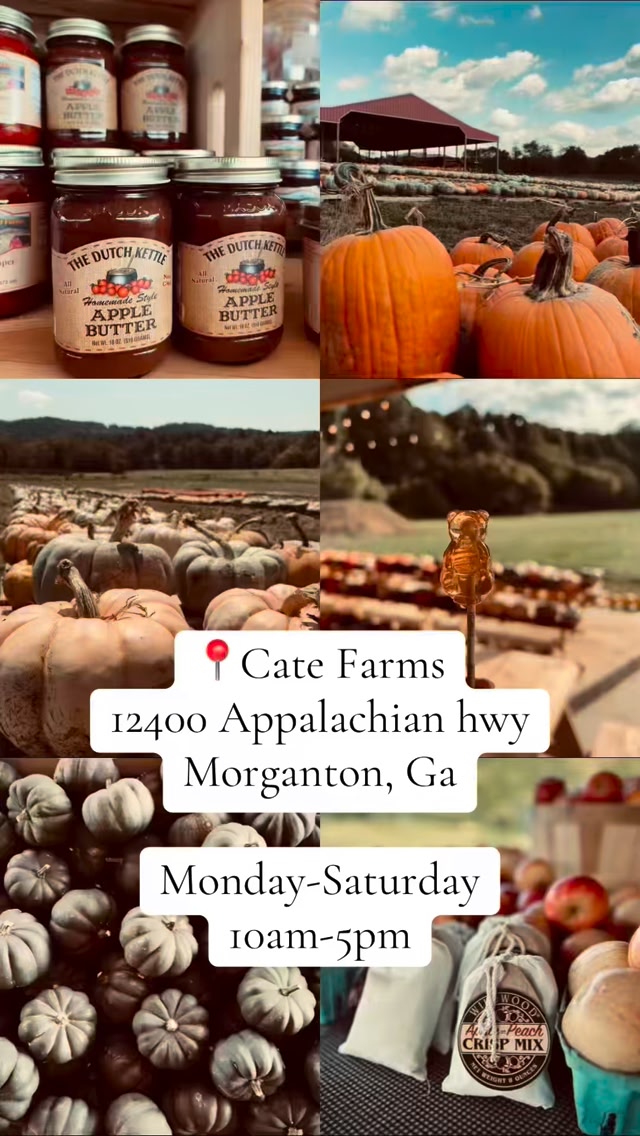 📍Cate Farms 🎃👻 #farmtok #blueridge #market #pumpkin #pumpkinseason # ...