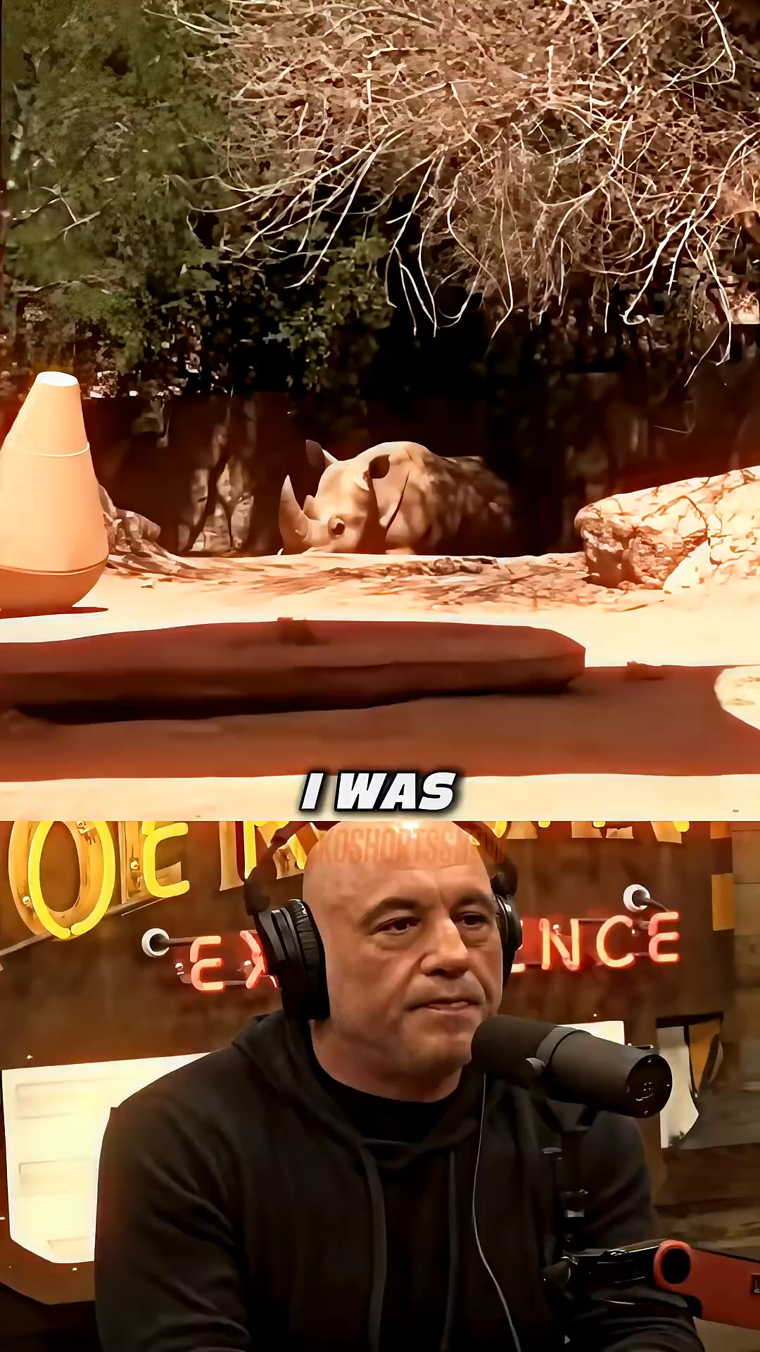 Joe Rogan Sees The 