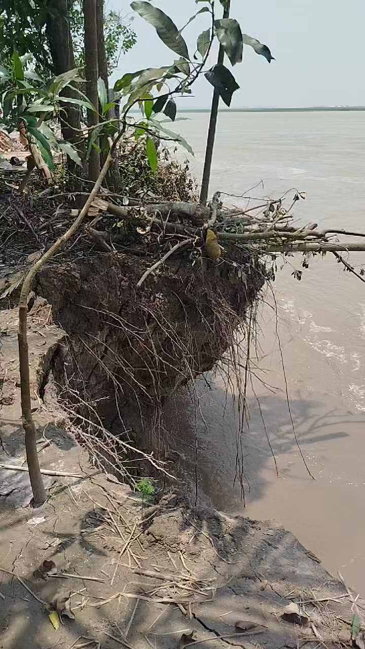 #bramaputronod #Bangladesh #kurigram #Kodalkati #rajibpur #hilights # ...
