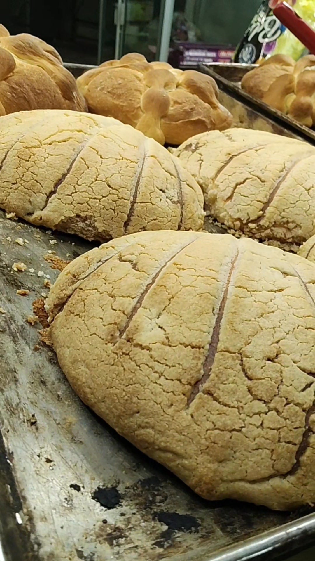 Pan Rico Pan Tantoyuca | Tantoyuca