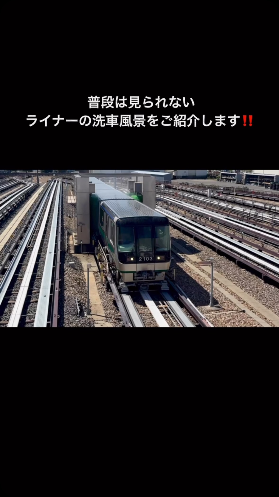 ライナーくん