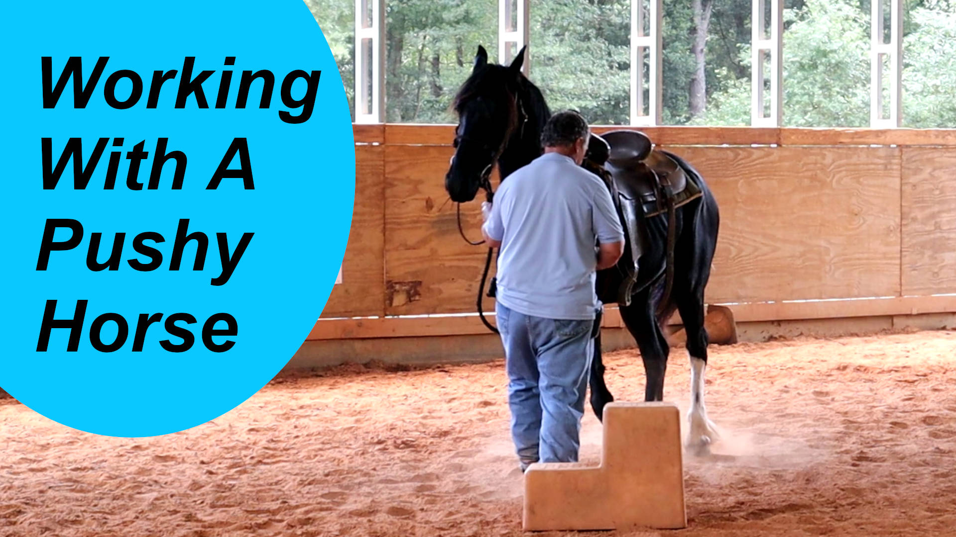 In this video I am showing you how I handle a pushy horse | Tim ...