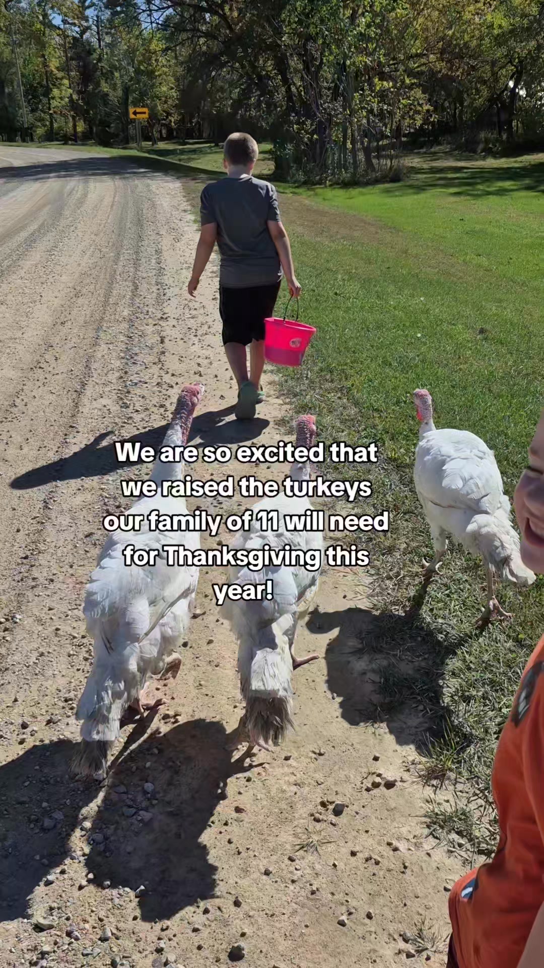 We've done our own chickens, but this year is the first we will be ...