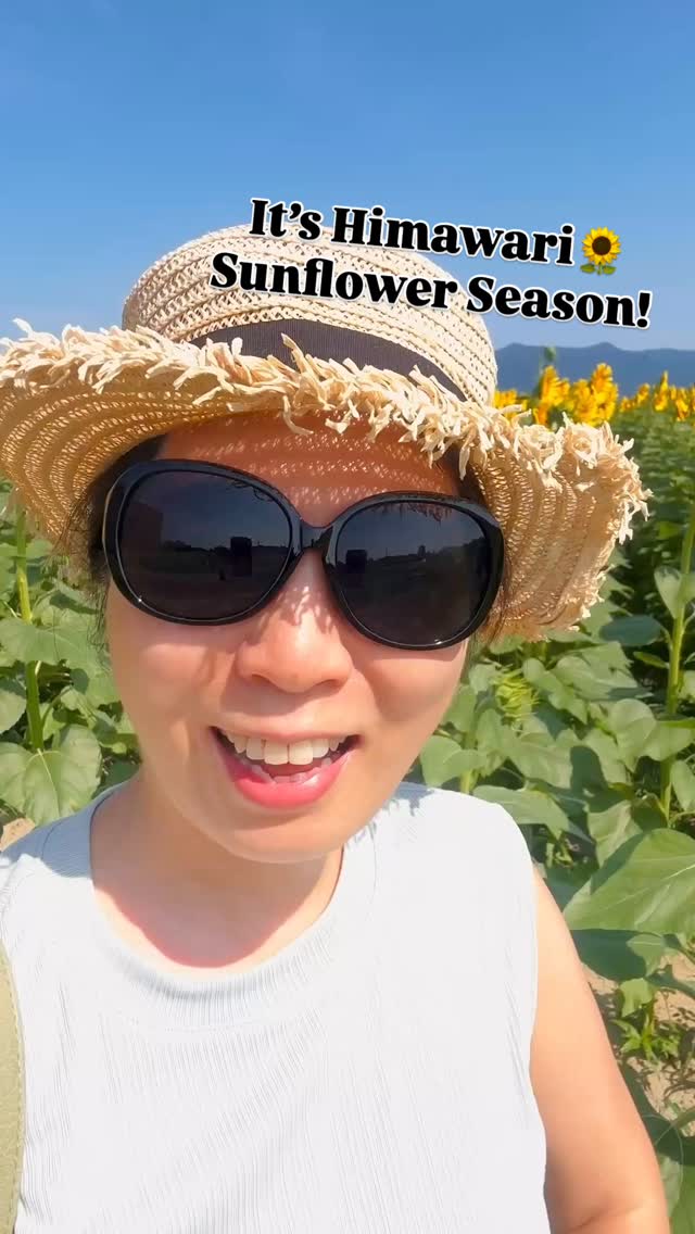 It's Himawari🌻Sunflower season! I enjoyed vibrant summer morning