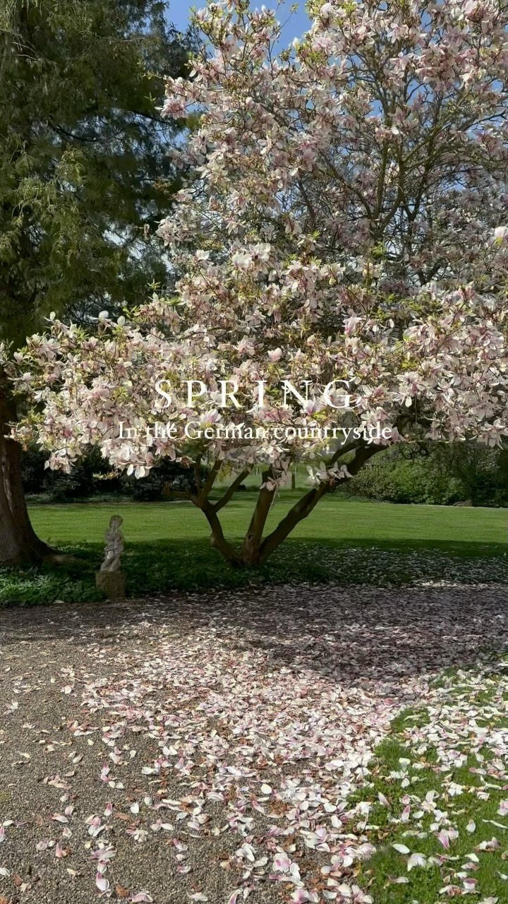 A beautiful Spring morning to all! 🌸🏵️💮🪻🇩🇪