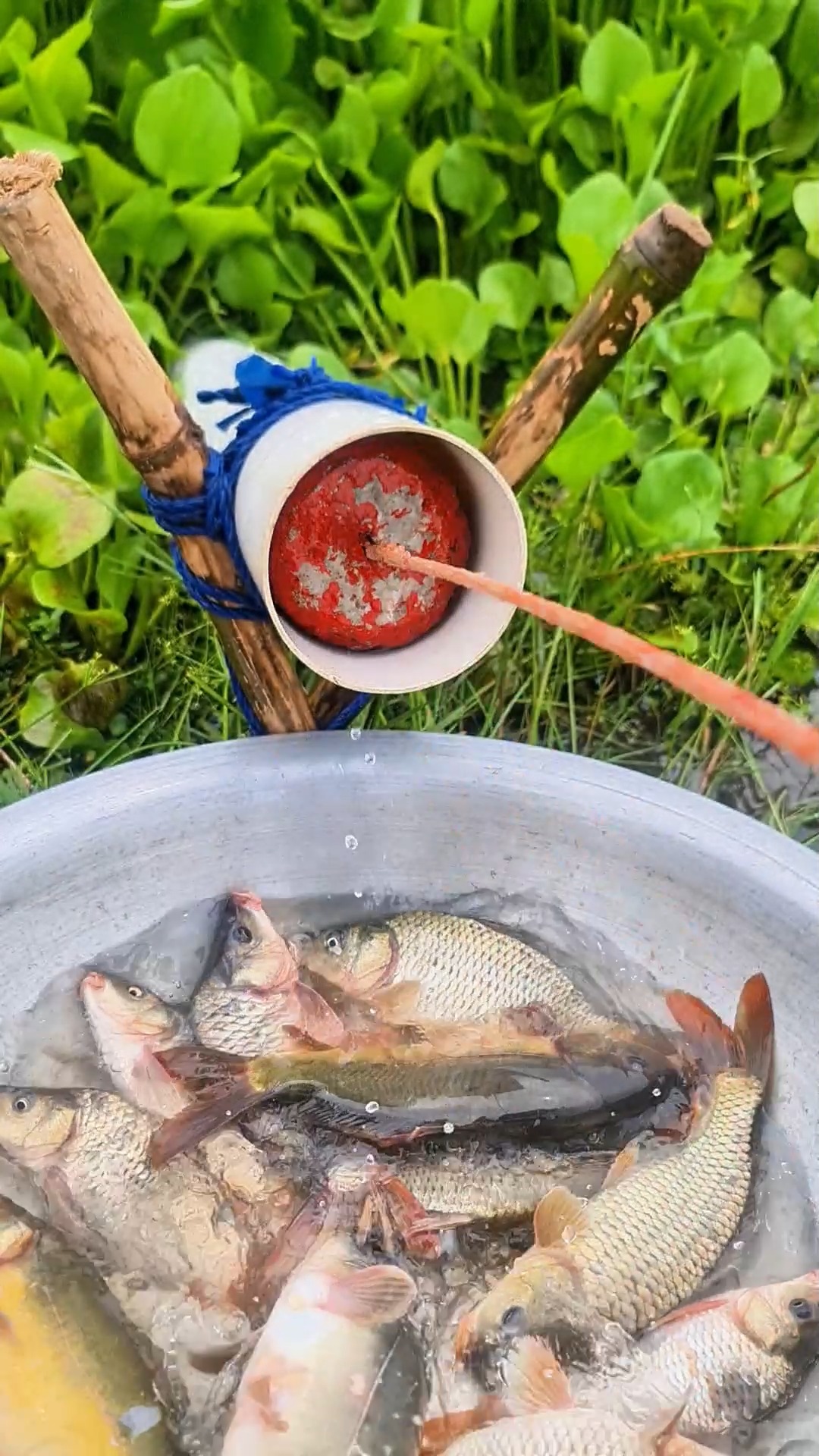 Fishing methods in village by PVC Pipe in wetland #reels #fish # ...