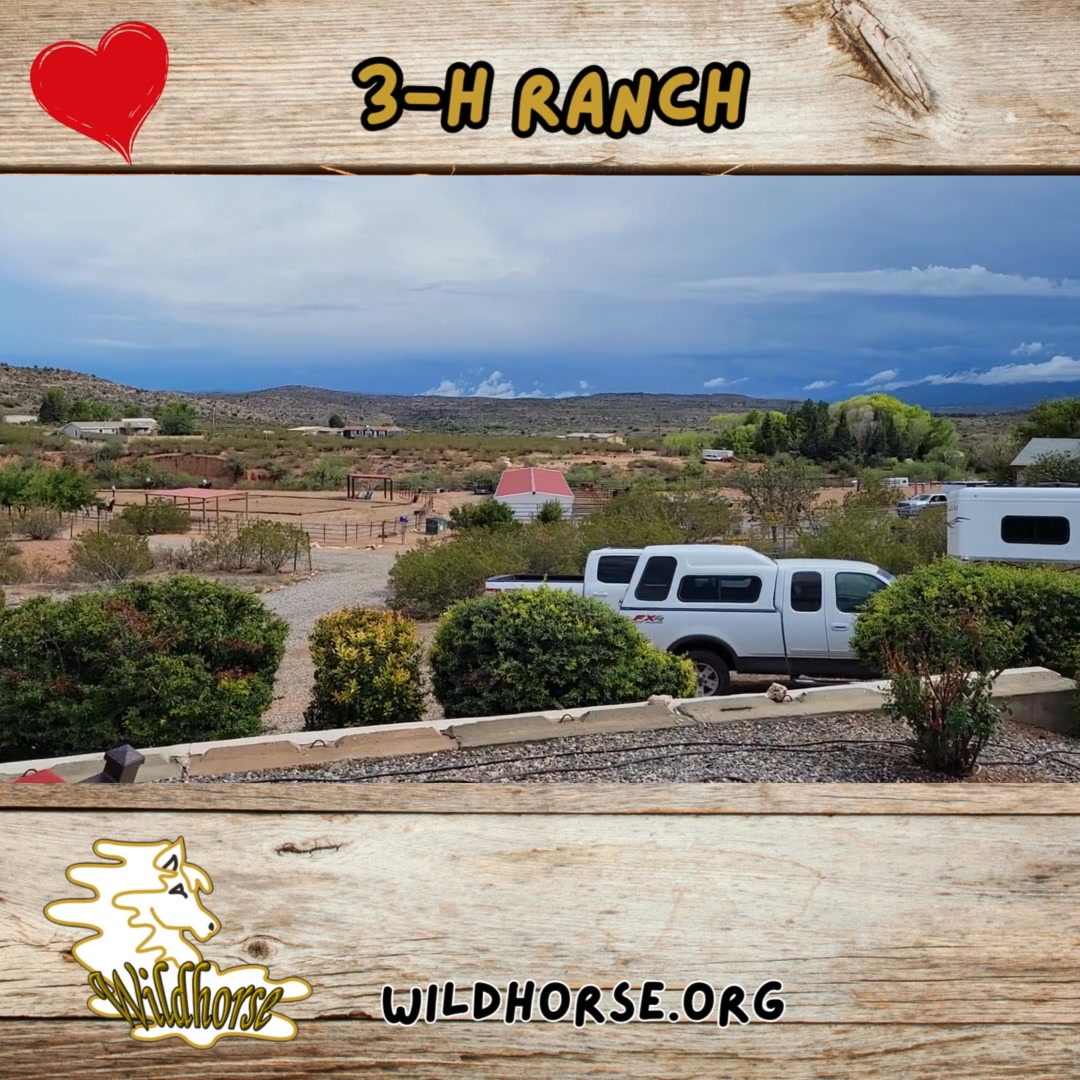 We are at 3-H Ranch in Cornville. This is one of the ranches owned by ...