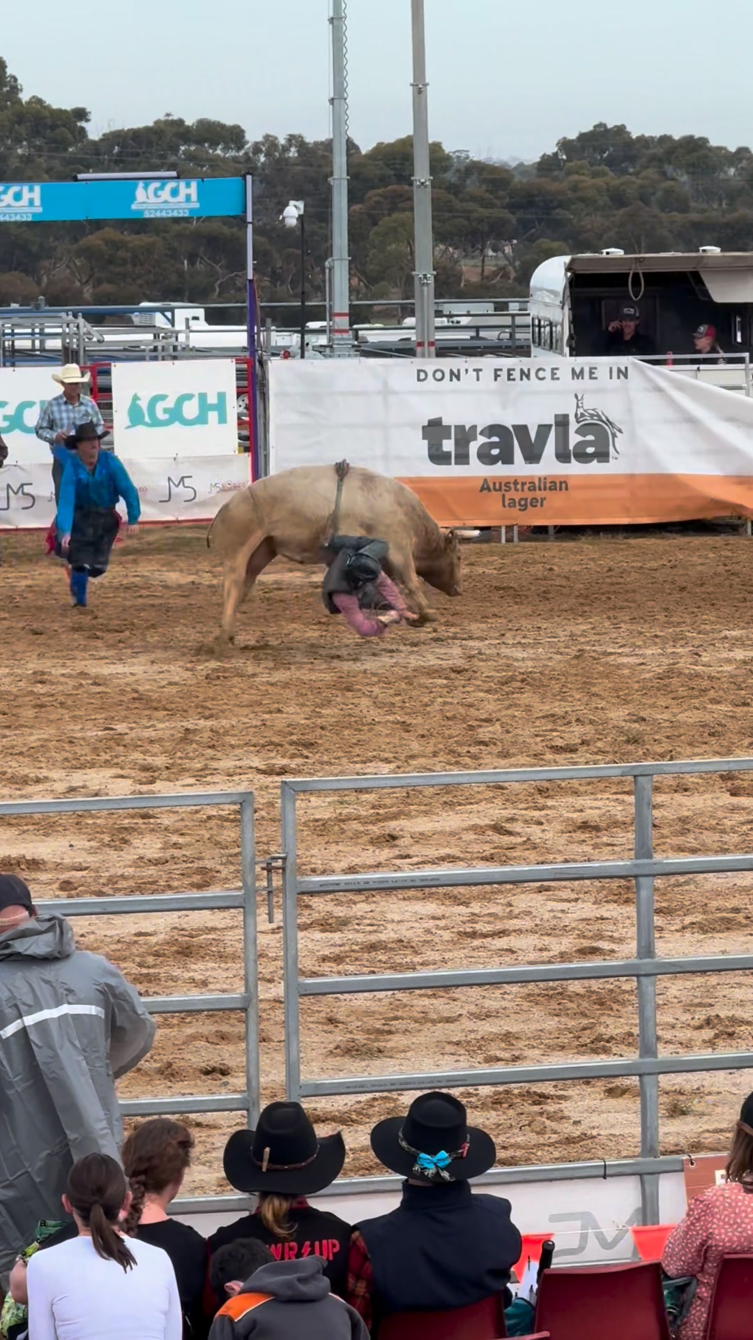 Oh, what a day… Rylan competing in Junior Steer Ride and having his ...