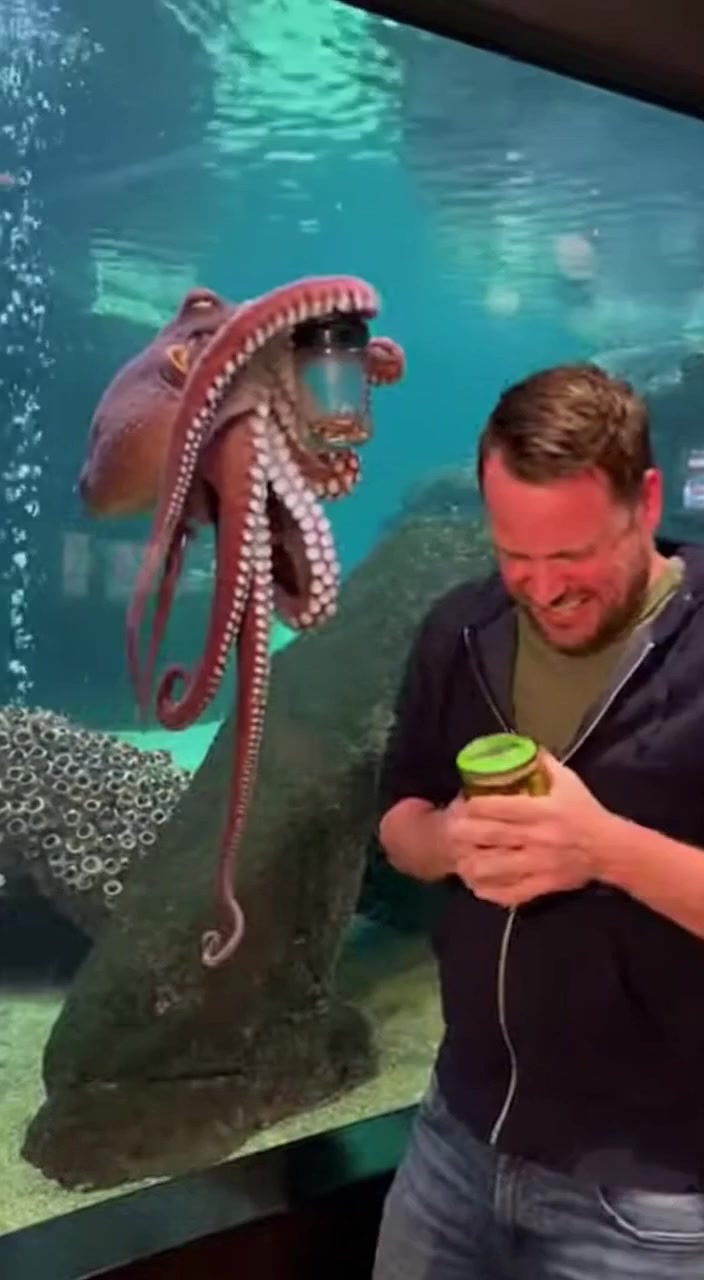 When you're struggling with a pickle jar but the octopus next to you is ...