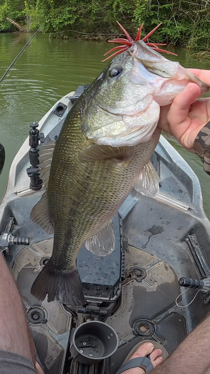 berkley fishing contact information HighJacker Saltwater Pro Pack Kit Spring loaded for easy one hand use Never a bad idea to