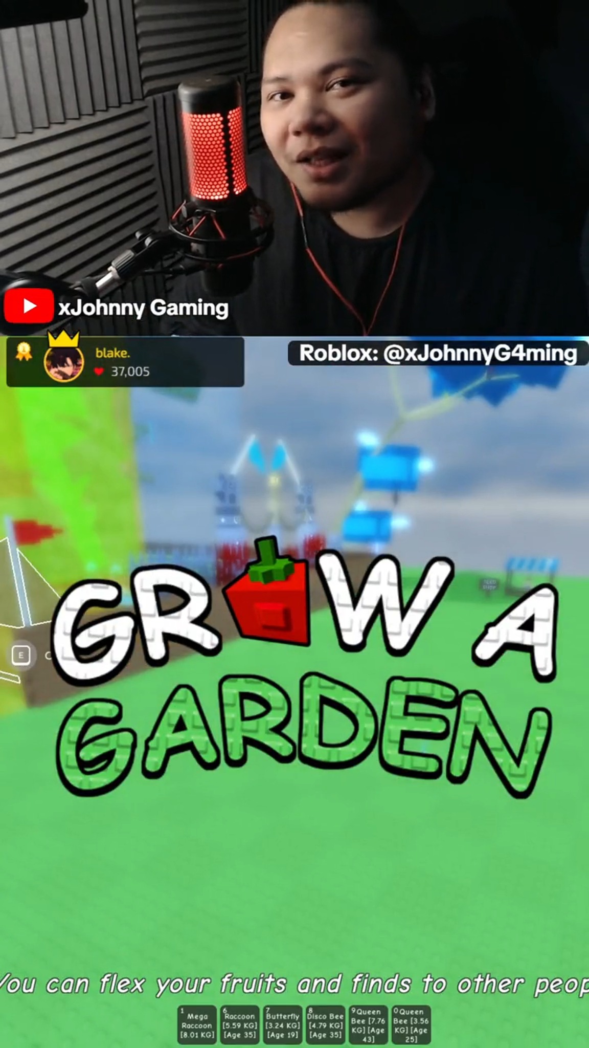 Easy raccoon kay Johnny | xJohnny Gaming | Facebook